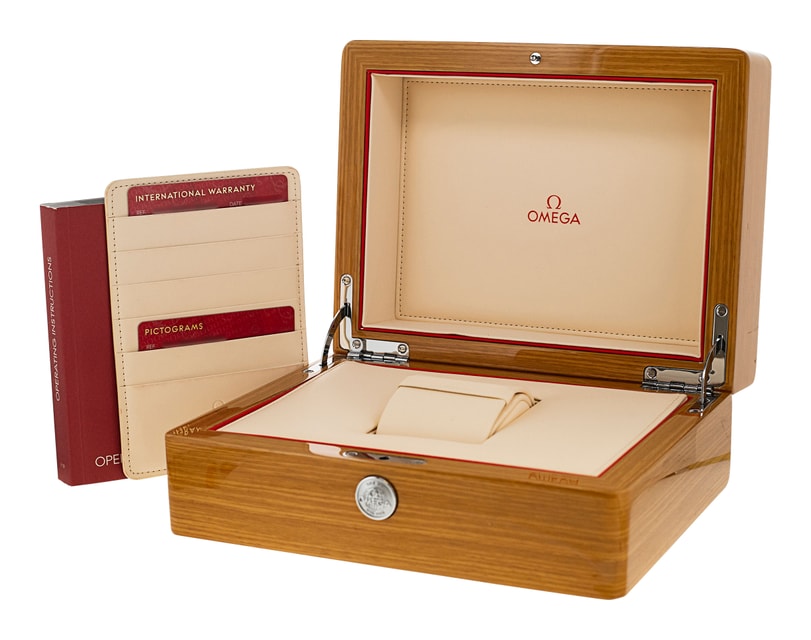 Omega Aqua Terra 150m Gents 231.10.42.21.03.003 Image 5